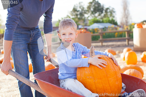 Image of pumpkin patch