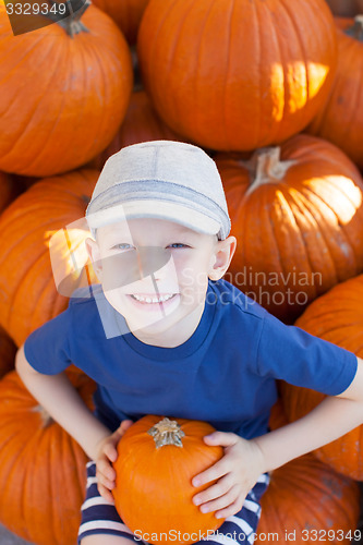 Image of pumpkin patch