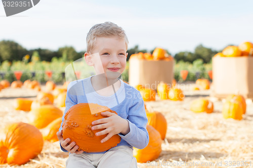 Image of pumpkin patch