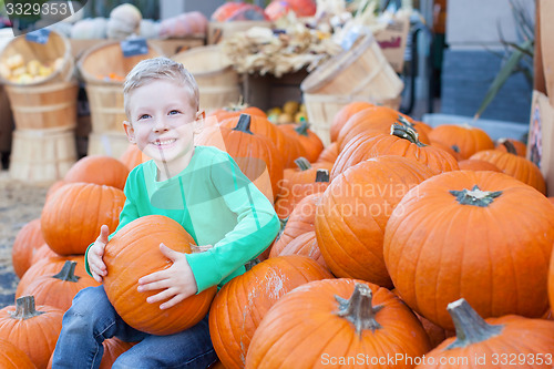 Image of pumpkin patch