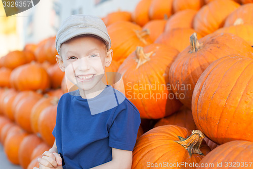 Image of pumpkin patch