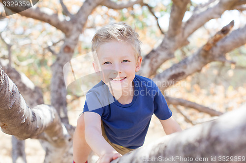 Image of kid climbing the tree