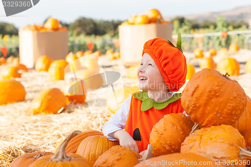 Image of pumpkin patch