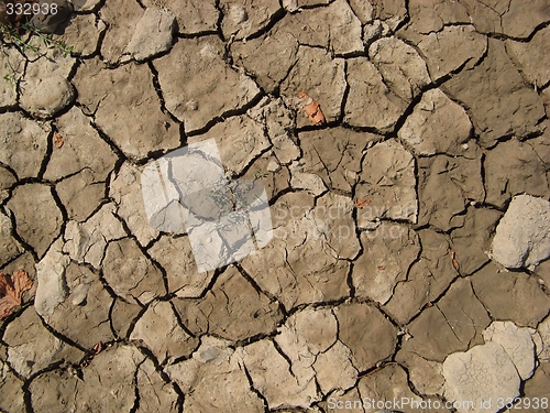 Image of Cracked ground texture