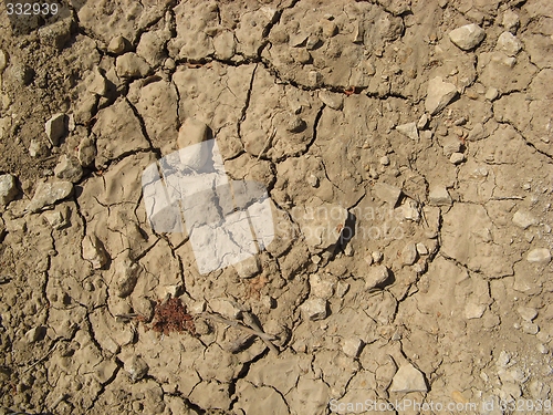 Image of Cracked ground texture