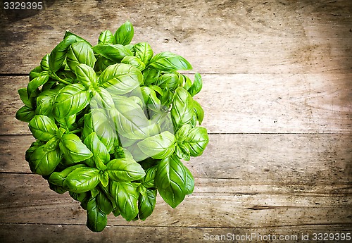 Image of fresh basil bunch on wooden table
