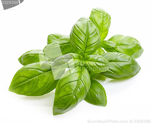 Image of fresh basil leaves