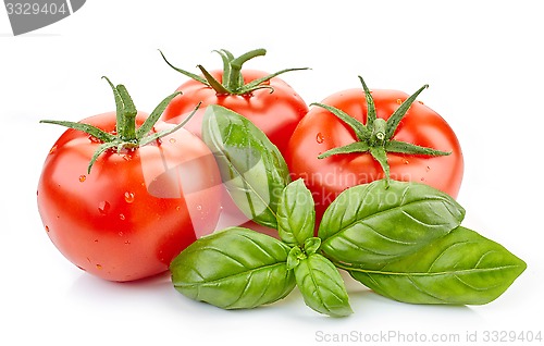 Image of fresh tomatoes and basil leaf