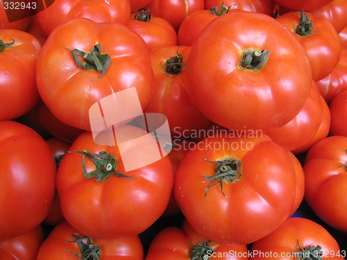 Image of tomatoes