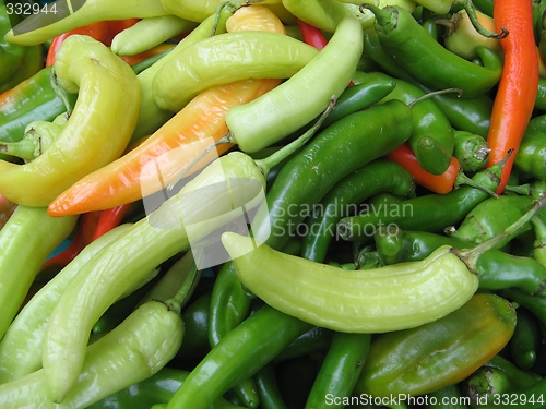 Image of hot peppers