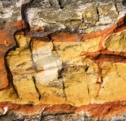 Image of abstract lanzarote  stone and lichens 