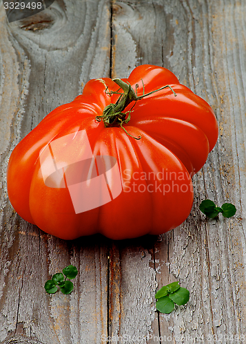 Image of Beef Heart Tomato