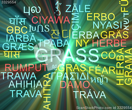 Image of Grass multilanguage wordcloud background concept glowing