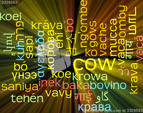 Image of Cow multilanguage wordcloud background concept glowing