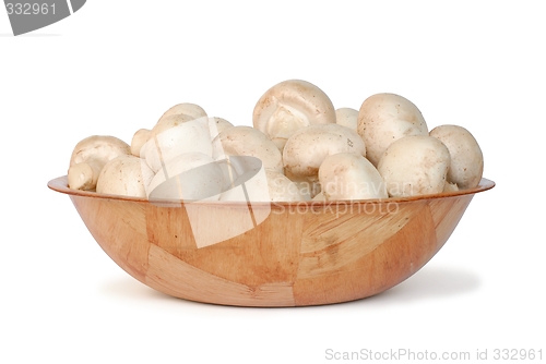 Image of Mushrooms