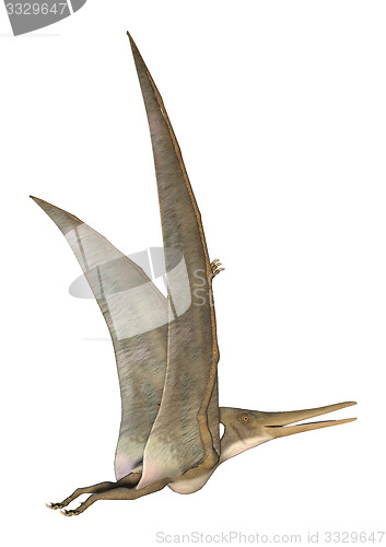 Image of Pteranodon