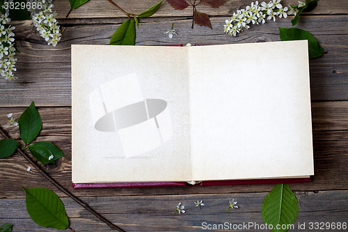 Image of album with open pages and blossom bird-cherry