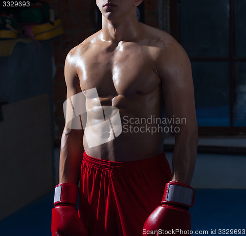Image of torso of a boxer
