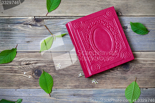 Image of album and green leaves