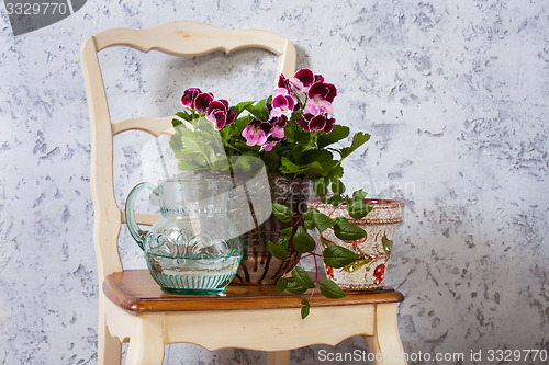 Image of Still Life with pelargonium and fuchsia
