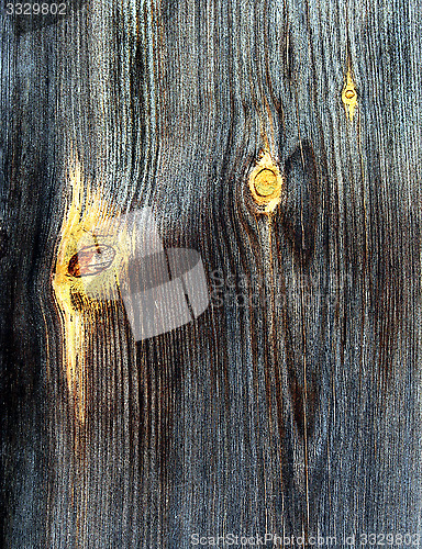 Image of Very old weather beaten board with colourful sprigs.