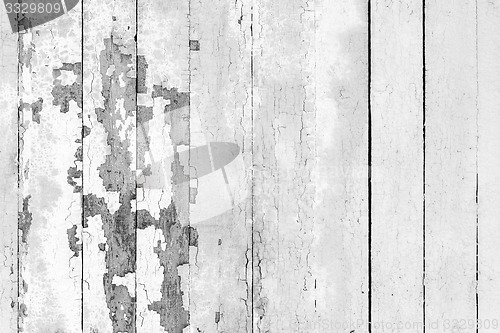 Image of Vintage  White  Wood Wall