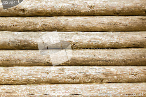 Image of Pine timber background