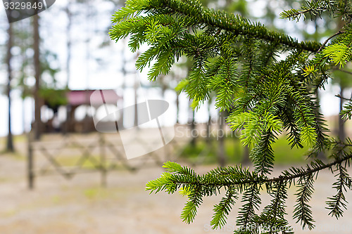 Image of Pavilion in forest near lake