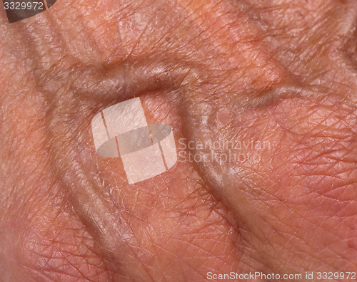 Image of Hand of an old woman