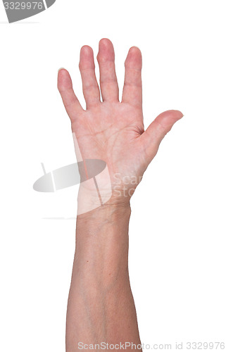 Image of Hand of an old woman