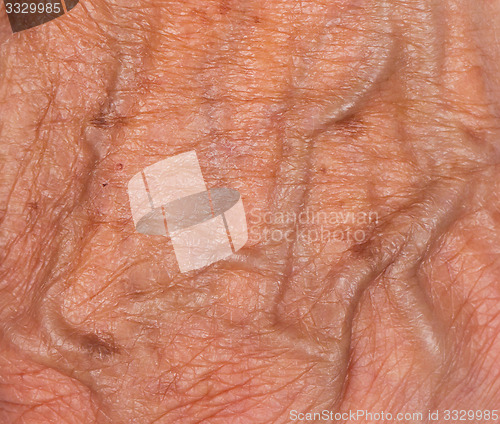 Image of Hand of an old woman