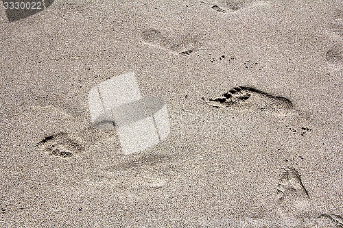 Image of Footprints legs