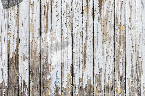 Image of Vintage  White  Wood Wall