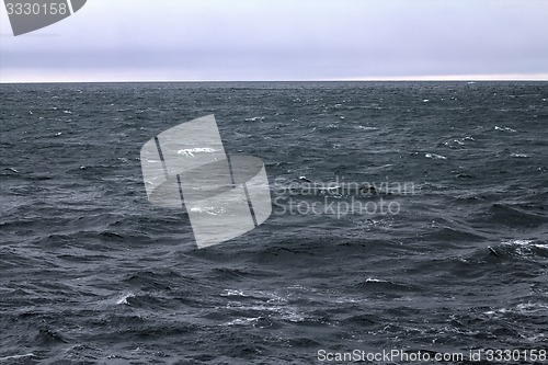 Image of Kara sea near the island of Novaya Zemlya