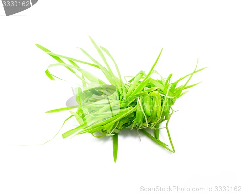 Image of figure green grass isolated