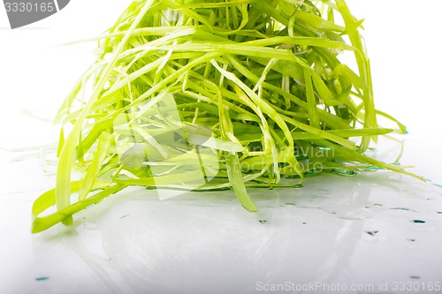 Image of figure green grass isolated