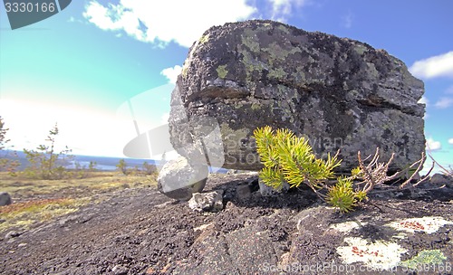 Image of seita stone  in the polar North close up