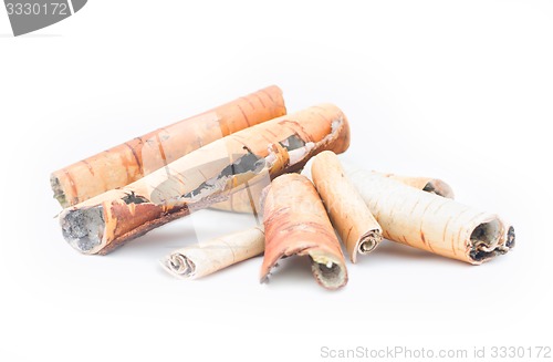 Image of birch bark