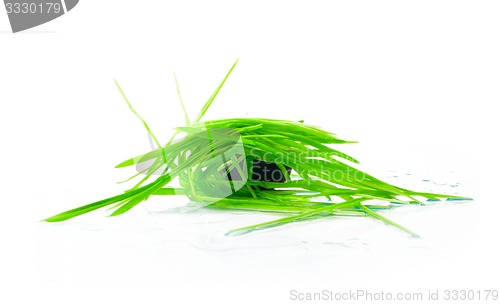 Image of figure green grass isolated