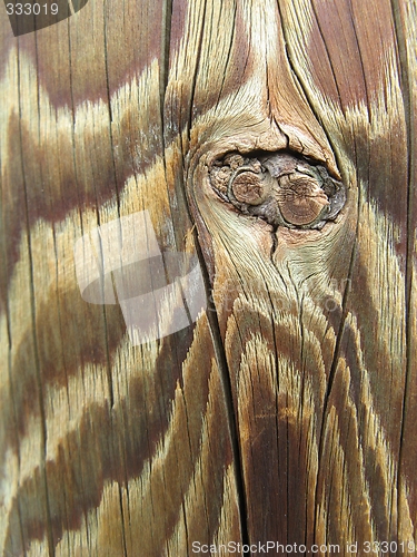 Image of wood texture