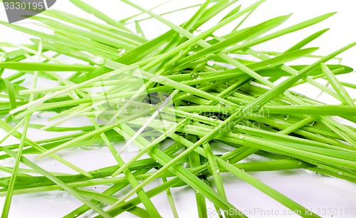 Image of figure green grass isolated