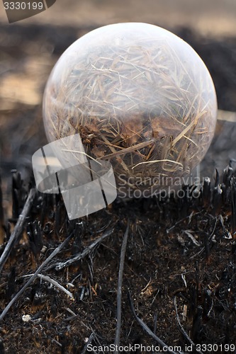 Image of global concept early spring fires and burnt grass