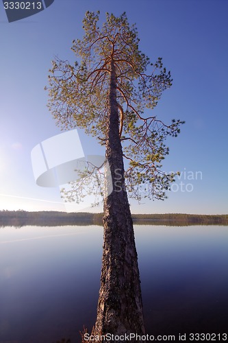 Image of  landscape in the reserve