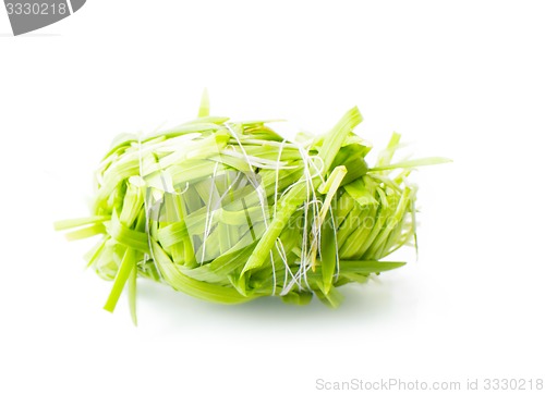 Image of figure green grass isolated