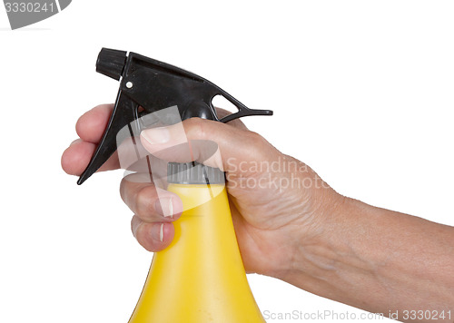 Image of Sprayer in the hand of an old woman