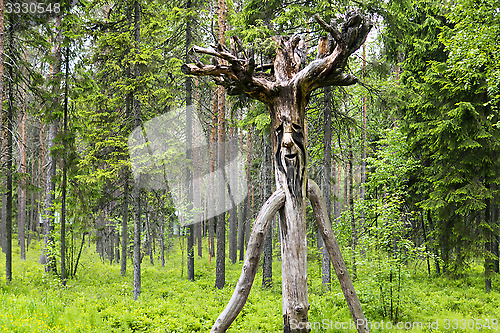 Image of Wooden russian spirit of the wild forest