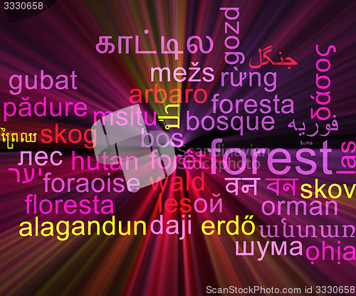 Image of Forest multilanguage wordcloud background concept glowing