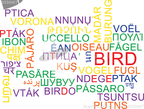 Image of Bird multilanguage wordcloud background concept