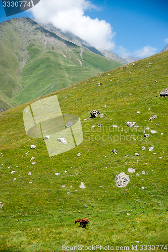 Image of Hiking in Georgia Mountain