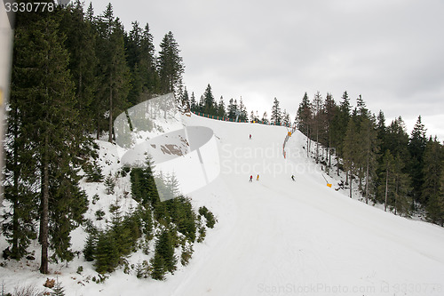 Image of Ski in Romania